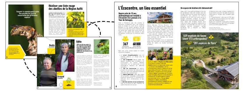 Aperc%CC%A7u%20Rapport%20d'activite%CC%81%202025